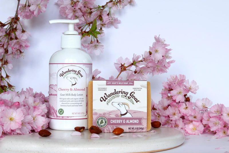 Cherry Almond Goat Milk Soap and Lotion surrounded by cherry blossoms with a white background.