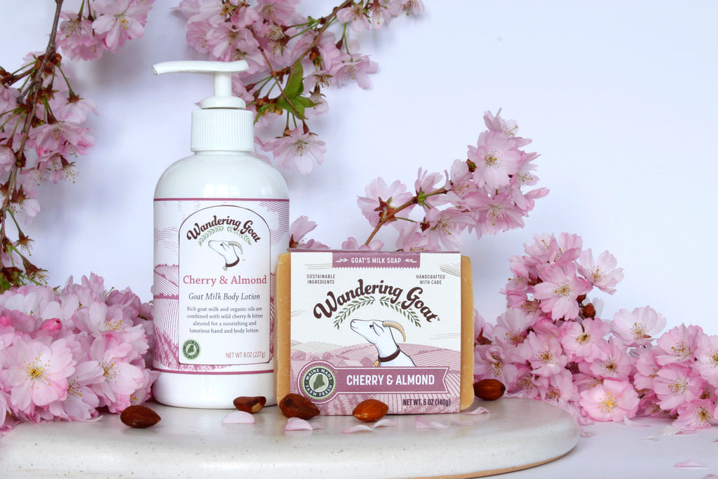 Cherry Almond Goat Milk Soap and Lotion surrounded by cherry blossoms