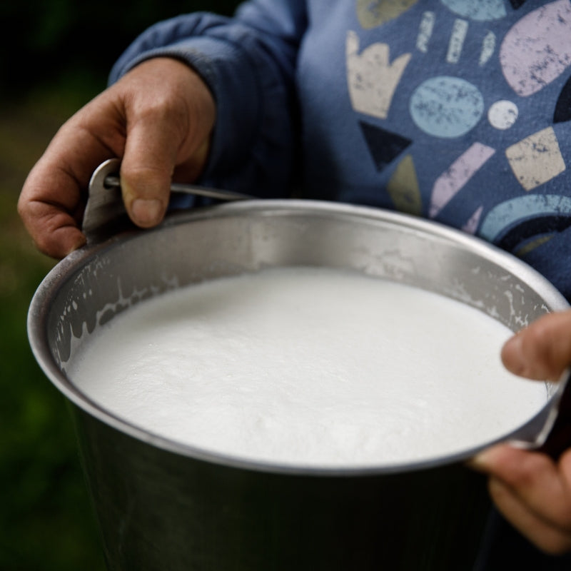 Hands are holding on to a stainless steel pail filled with fresh goat milk. Th person holding the pail is wearing a shirt with geometric shapes on the shirt.
