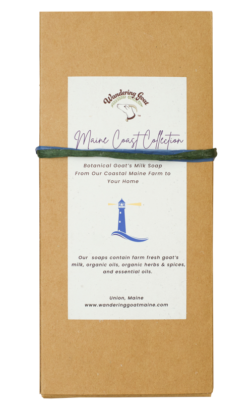 Coastal Maine Bundle