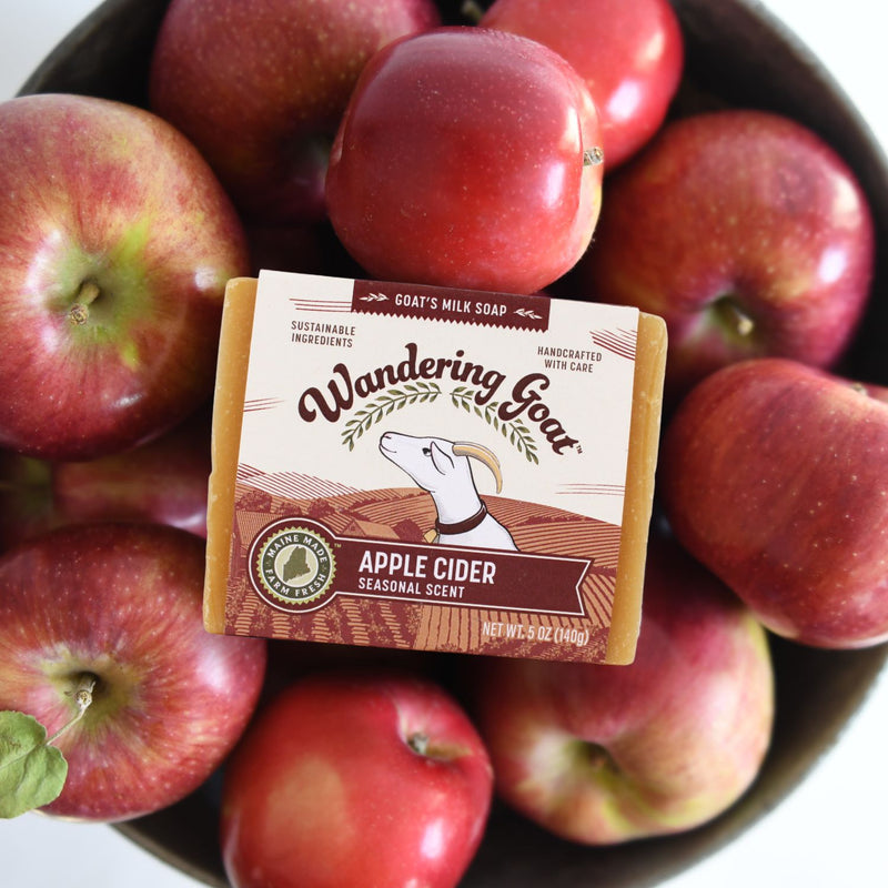 a bar of apple cider goat milk soap lays on top of a bunch of red apples in a tin bucket.